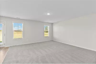 20 Buggy Top Lane, Autryville, NC 28318 - Photo 14