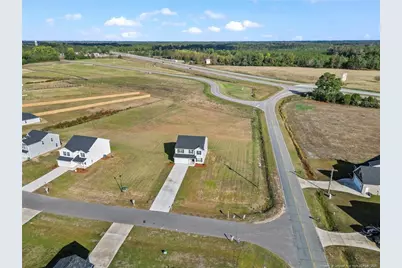 20 Buggy Top Lane, Autryville, NC 28318 - Photo 4