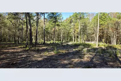 Cameron Hill Road, Cameron, NC 28326 - Photo 6