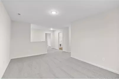 234 Palomo Place, Raeford, NC 28376 - Photo 22