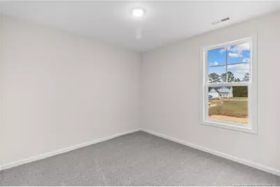 234 Palomo Place, Raeford, NC 28376 - Photo 40