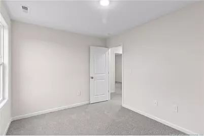 234 Palomo Place, Raeford, NC 28376 - Photo 38