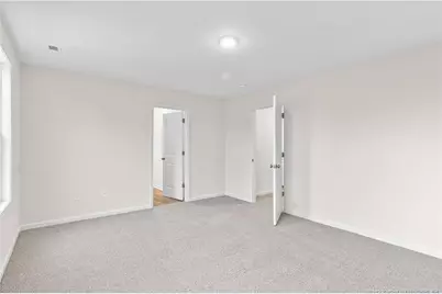 234 Palomo Place, Raeford, NC 28376 - Photo 26