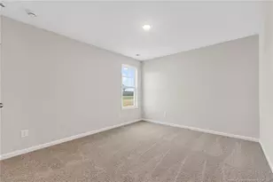 294 Arabia Rd Lot 3, Raeford, NC 28376 - Photo 30