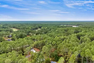 30080 Loblolly Ct, Wagram, NC 28396 - Photo 36