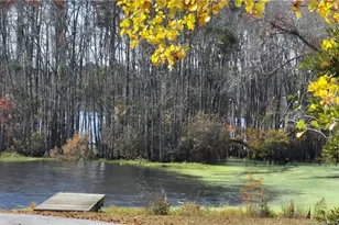 4352 Scout Cp Dr, Fayetteville, NC 28306 - Photo 48