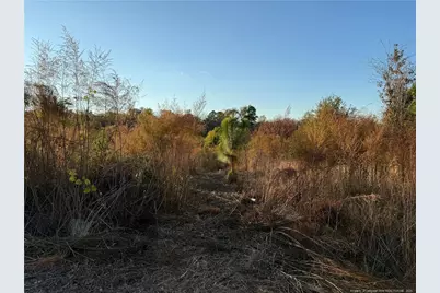 4083 Collier Road, Wade, NC 28395 - Photo 8