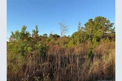 4083 Collier Road, Wade, NC 28395 - Photo 10