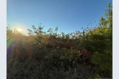 4083 Collier Road, Wade, NC 28395 - Photo 6