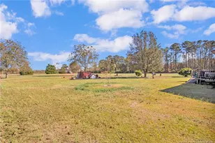 424 Bullard Rd, Autryville, NC 28318 - Photo 32