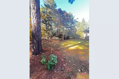 208 Wood Run, Sanford, NC 27332 - Photo 24