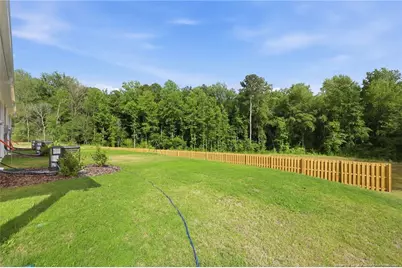 230 Elijah Way, Vass, NC 28394 - Photo 36