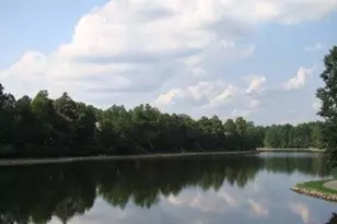 111 Long Shadow Ln, Cary, NC 27518 - Photo 48