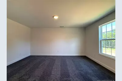 88 Pikewood Court, Lillington, NC 27546 - Photo 38
