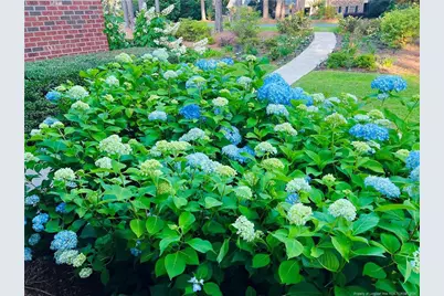 6533 Countryside Drive, Fayetteville, NC 28311 - Photo 48