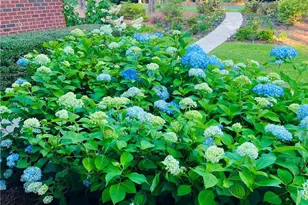 6533 Countryside Dr, Fayetteville, NC 28311 - Photo 48