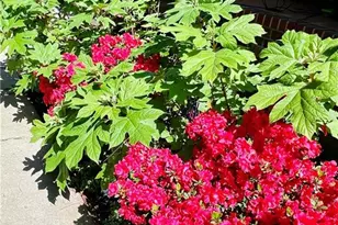 6533 Countryside Dr, Fayetteville, NC 28311 - Photo 46