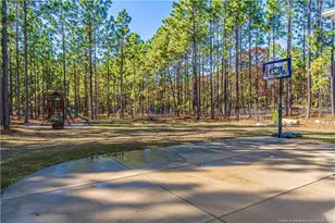 100 Bexley Ct, West End, NC 27376 - Photo 44