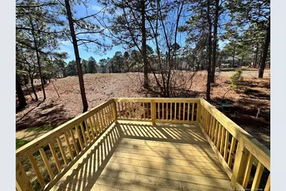 506 Bald Eagle Drive, Vass, NC 28394 - Photo 22