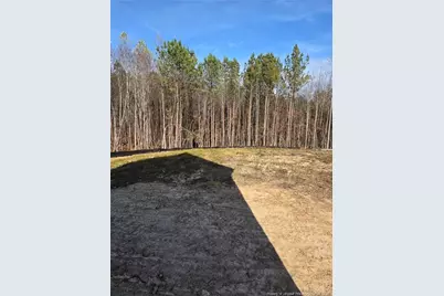 311 One Tree Hill, Sanford, NC 27330 - Photo 6