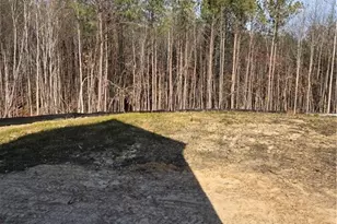 311 One Tree Hill, Sanford, NC 27330 - Photo 6