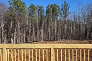 311 One Tree Hill, Sanford, NC 27330 - Photo 4