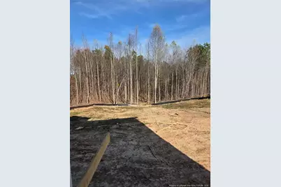 307 One Tree Hill, Sanford, NC 27330 - Photo 12