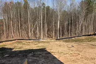 307 One Tree Hill, Sanford, NC 27330 - Photo 12