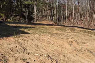 307 One Tree Hill, Sanford, NC 27330 - Photo 4