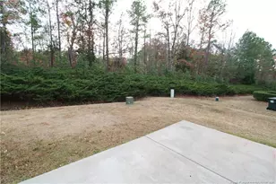 421 Hamlet Park Dr, Morrisville, NC 27560 - Photo 36