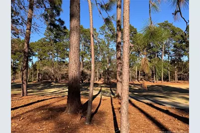 45 Beckett Ridge, Pinehurst, NC 28374 - Photo 26