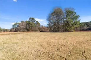 302 Elijah Way, Vass, NC 28394 - Photo 44