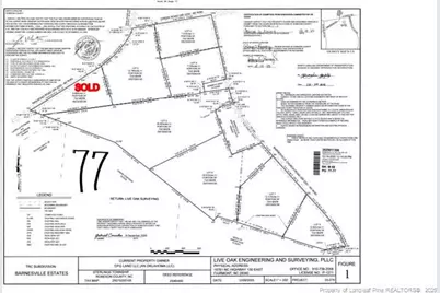 Lot 5 Barnesville Church Road, Orrum, NC 28369 - Photo 10