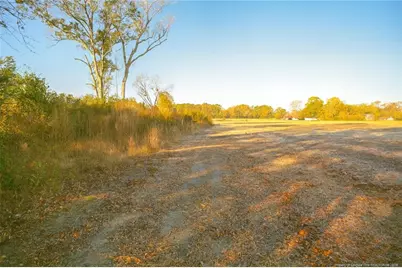 Lot 5 Barnesville Church Road, Orrum, NC 28369 - Photo 4