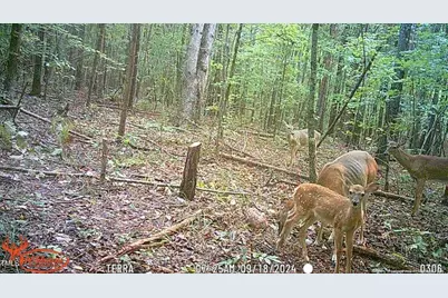 0 J Dowdy Road, Goldston, NC 27252 - Photo 16