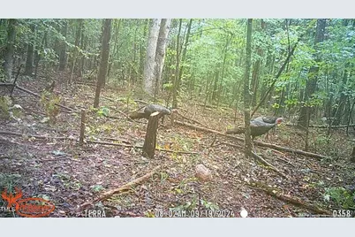 0 J Dowdy Road, Goldston, NC 27252 - Photo 18