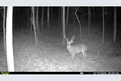 0 J Dowdy Road, Goldston, NC 27252 - Photo 14