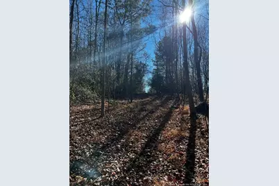 0 J Dowdy Road, Goldston, NC 27252 - Photo 4