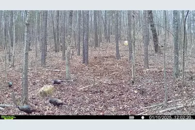 0 J Dowdy Road, Goldston, NC 27252 - Photo 10