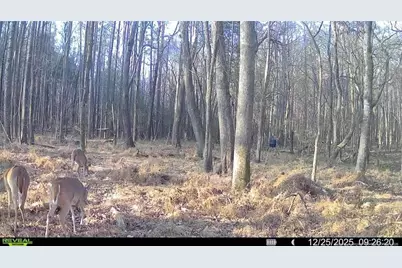 0 J Dowdy Road, Goldston, NC 27252 - Photo 12