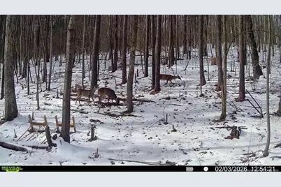 0 J Dowdy Road, Goldston, NC 27252 - Photo 22