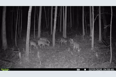 0 J Dowdy Road, Goldston, NC 27252 - Photo 20