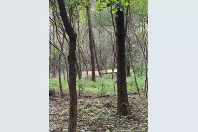 0 J Dowdy Road, Goldston, NC 27252 - Photo 8