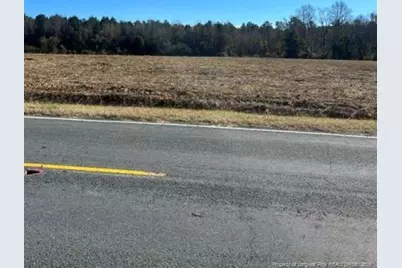 Wire Grass Road, Orrum, NC 28369 - Photo 10