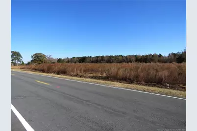Wire Grass Road, Orrum, NC 28369 - Photo 8