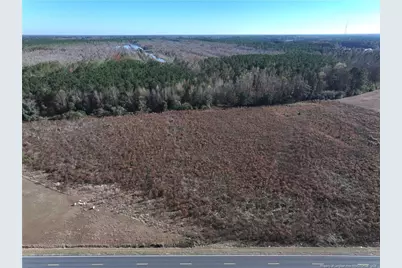 Wire Grass Road, Orrum, NC 28369 - Photo 4