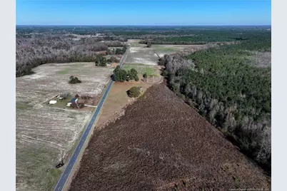 Wire Grass Road, Orrum, NC 28369 - Photo 4