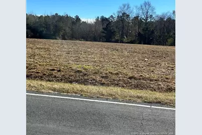 Wire Grass Road, Orrum, NC 28369 - Photo 6