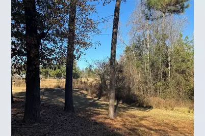 197 Pine Hill Road, West End, NC 27376 - Photo 2