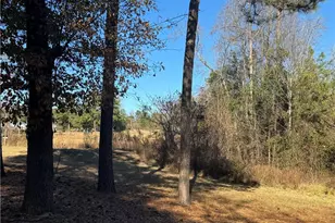 197 Pine Hill Rd, West End, NC 27376 - Photo 2